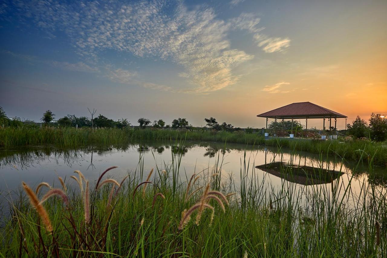 Blackbuck Safari Lodge Velavadar Bavliari Bagian luar foto