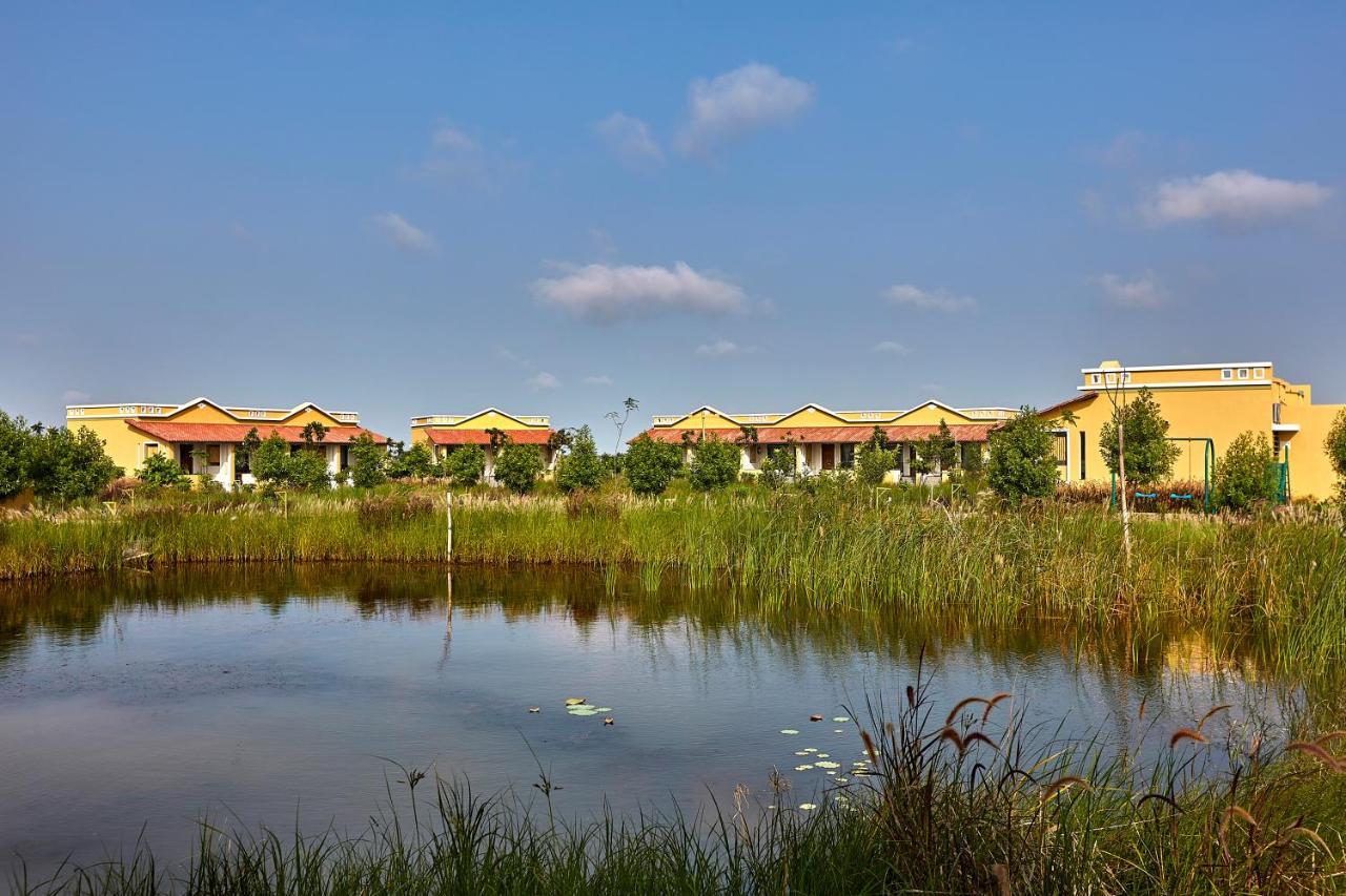 Blackbuck Safari Lodge Velavadar Bavliari Bagian luar foto