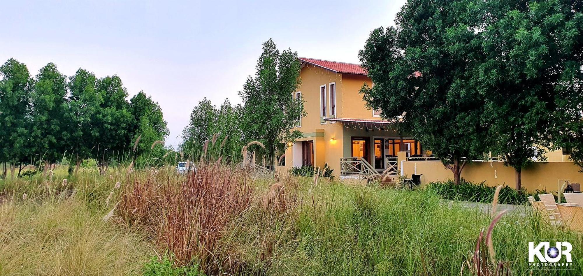 Blackbuck Safari Lodge Velavadar Bavliari Bagian luar foto