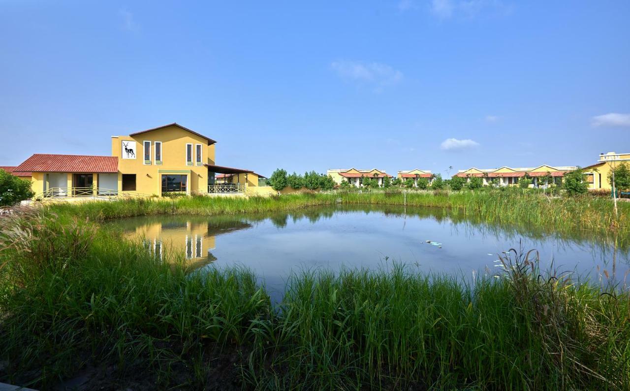 Blackbuck Safari Lodge Velavadar Bavliari Bagian luar foto